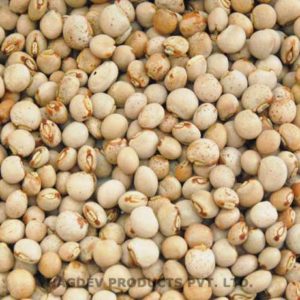 Pigeon Pea