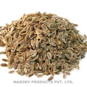 Dill Seeds