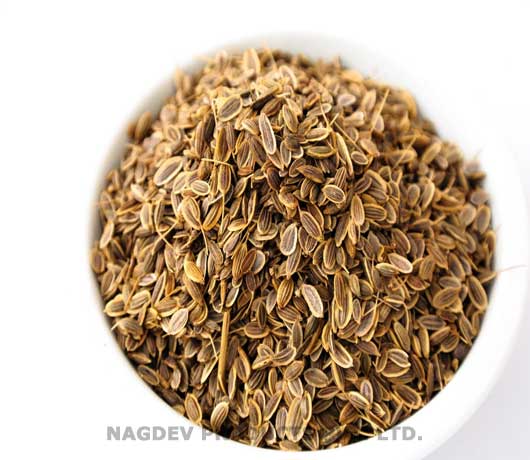Dill Seeds