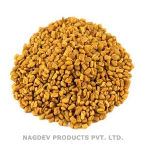 Fenugreek