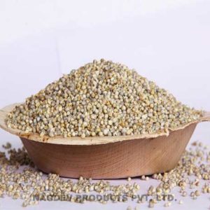 Millet [Bajra]