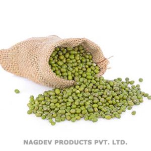 Mung Seeds