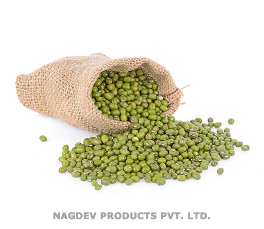 Mung Seeds