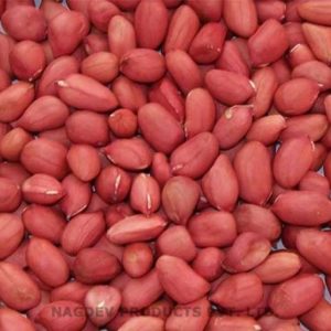 Peanut [groundnut]