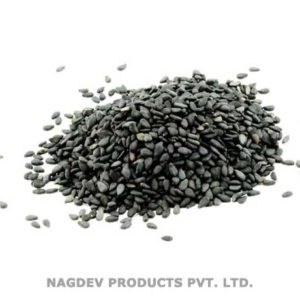 Sesame Seeds