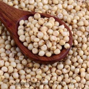 Sorghum [Jovar]