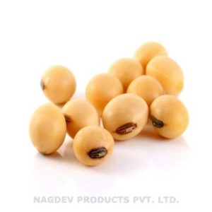 Soybean